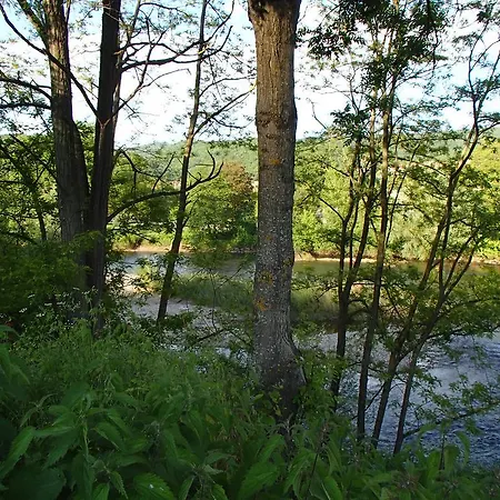 De L'ile Chez Wendy Et Fred Jumeaux